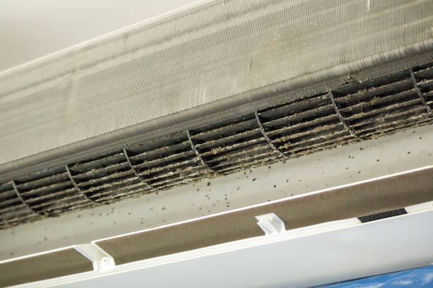 Best HVAC Duct Inspection Services  in Easton, MD